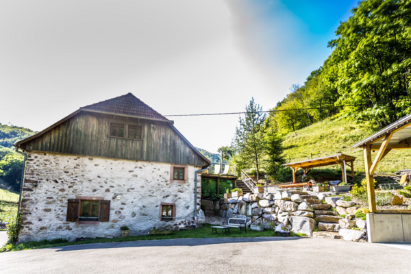 Gîte Le Bon Air gîte à louer Breitenbach