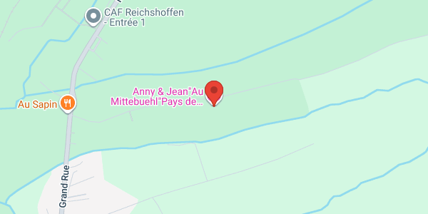 Chez Anny et jean Au Mittelbuehl,Vosges du Nord,Reichshoffen,Alsace