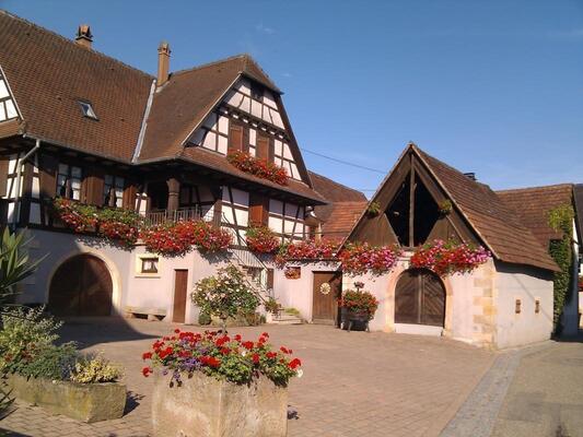 Gîte vignoble de Cleebourg gîte à louer Seebach