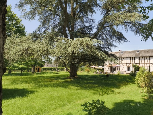 La Maison des Chouettes gîte à louer Eure